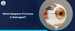What Happens If Cornea is Damaged